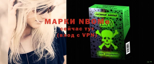 прущие грибы Алзамай