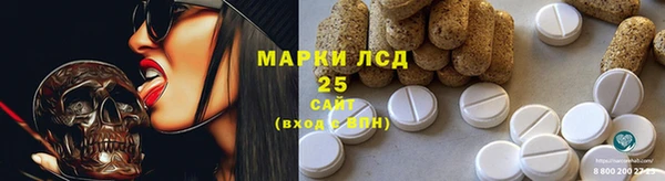 прущие грибы Алзамай