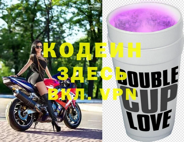 прущие грибы Алзамай
