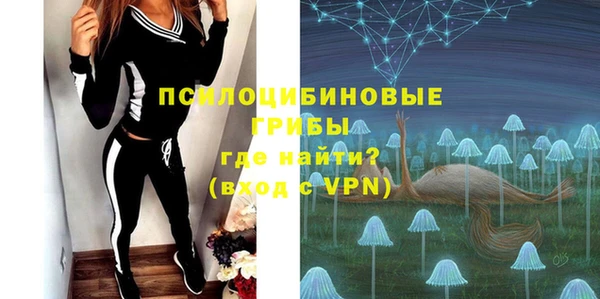 прущие грибы Алзамай