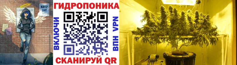 блэк спрут онион  Александровское  Канабис сатива 
